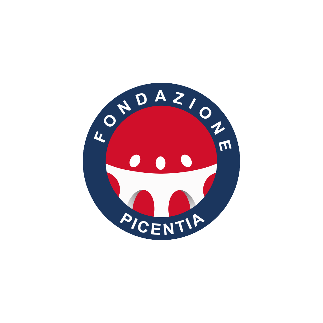 Fondazione Picentia - Lojo - Social e sito web